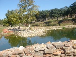 2007-10-28 21-25-42.JPG